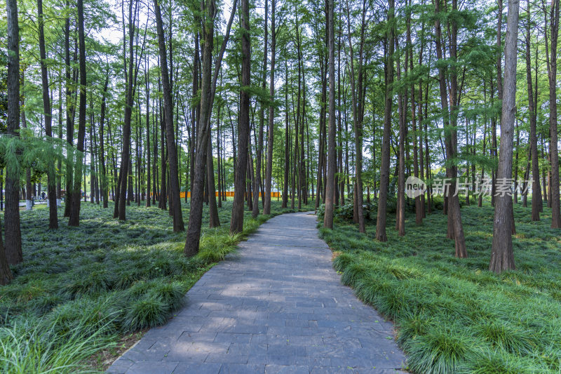 武汉汉阳月湖风景区风光