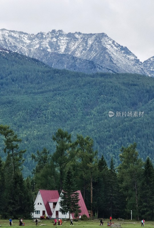 喀纳斯的秋景2