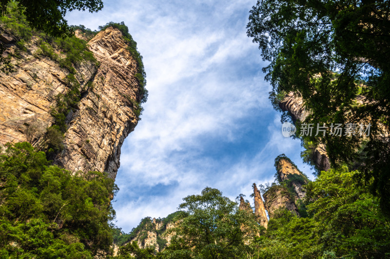 中国湖南张家界景区奇特山峰与茂密森林