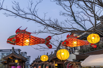 鱼灯笼花灯春节新年节日夜晚上海蟠龙天地