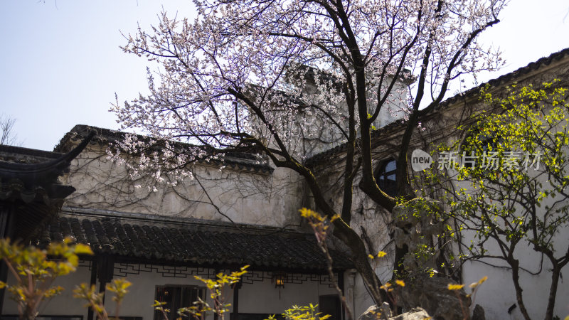 江南园林留园亭台楼阁