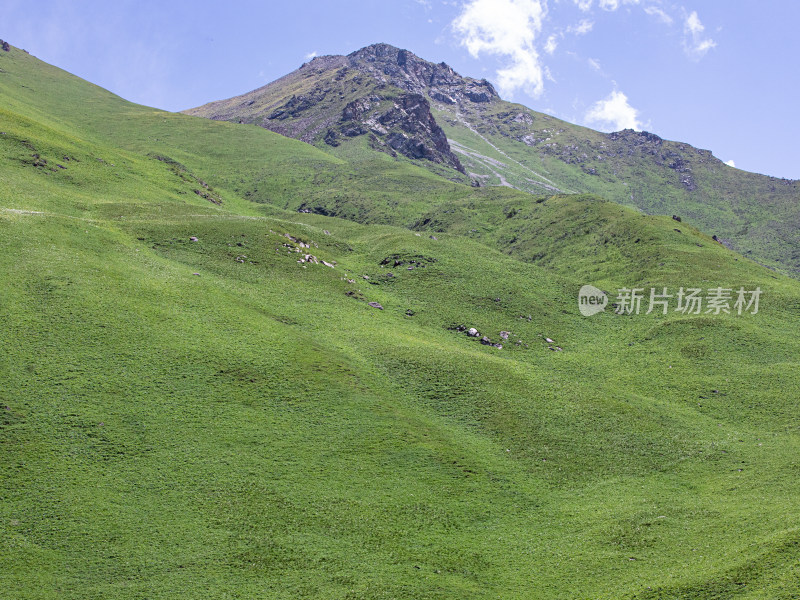 蓝天白云下的一大片绿色草地的自然风景