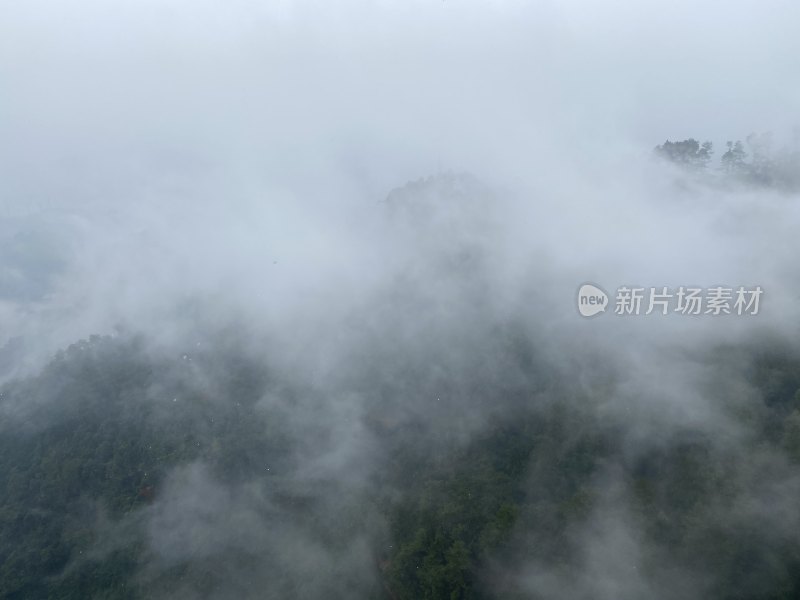 梧州白云山云海