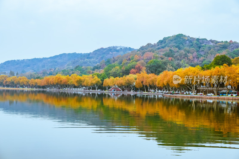 浙江杭州西湖风景名胜区秋景