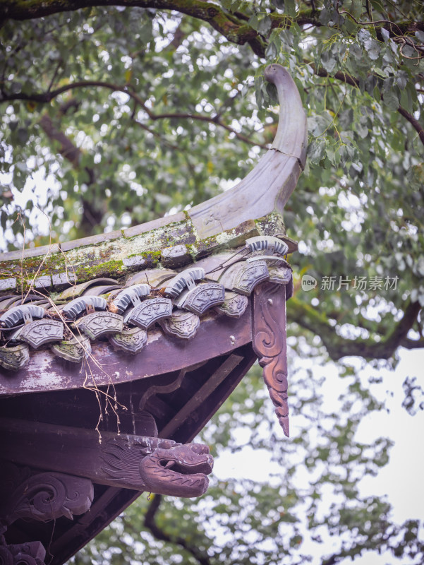 浙江丽水古堰画乡风光