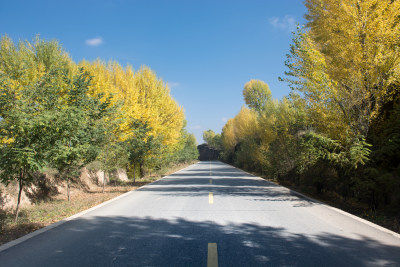 秋天的乡村公路