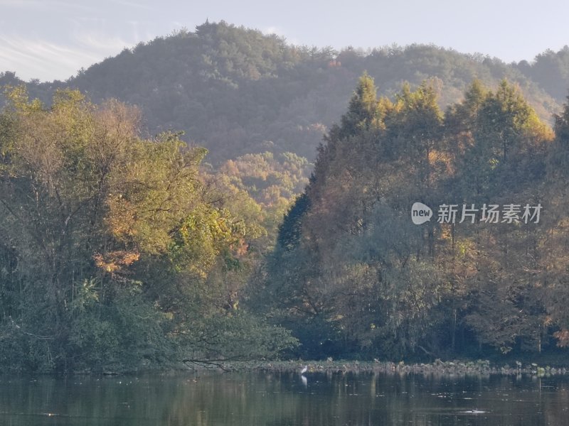 山林湖泊边秋景