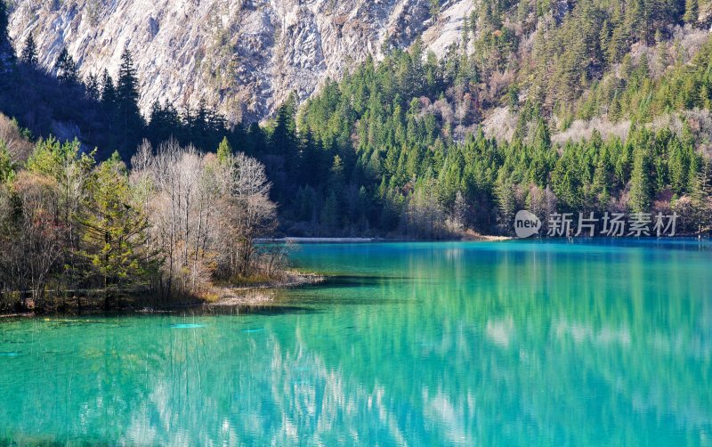 秋天九寨沟五花海的湖光山色