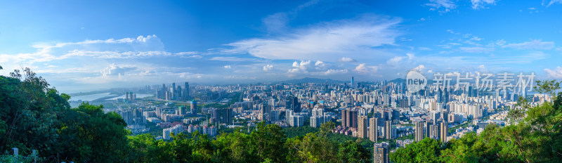 深圳南山公园看南山CBD摩天大楼建筑长图