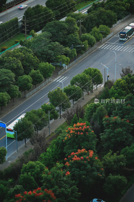 高视角上海城市风光