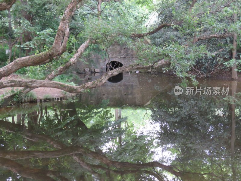 南京紫金山音乐台景区风景