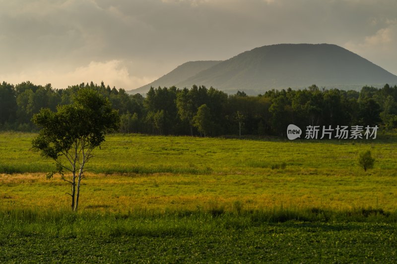 原野山林远景自然风光