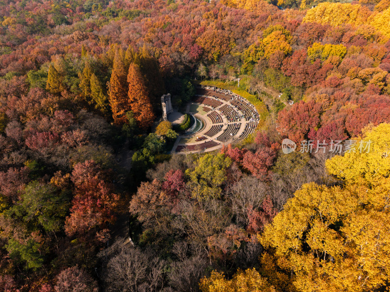 秋季树林中的露天剧场航拍