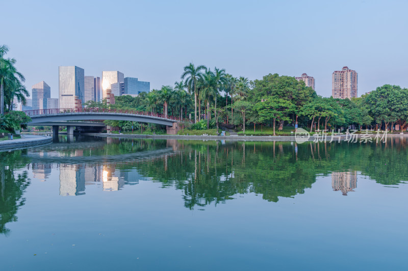 佛山千灯湖公园湖泊树林景观