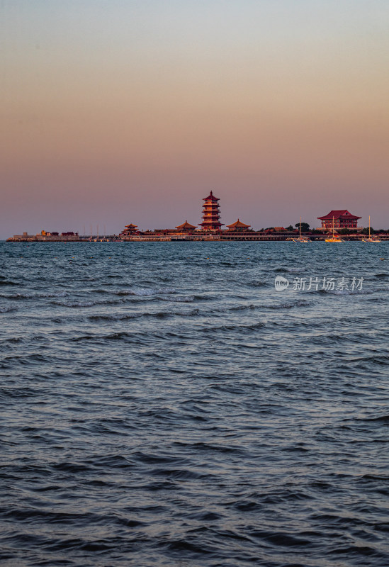 山东烟台蓬莱阁八仙过海景区海天之间海鸥