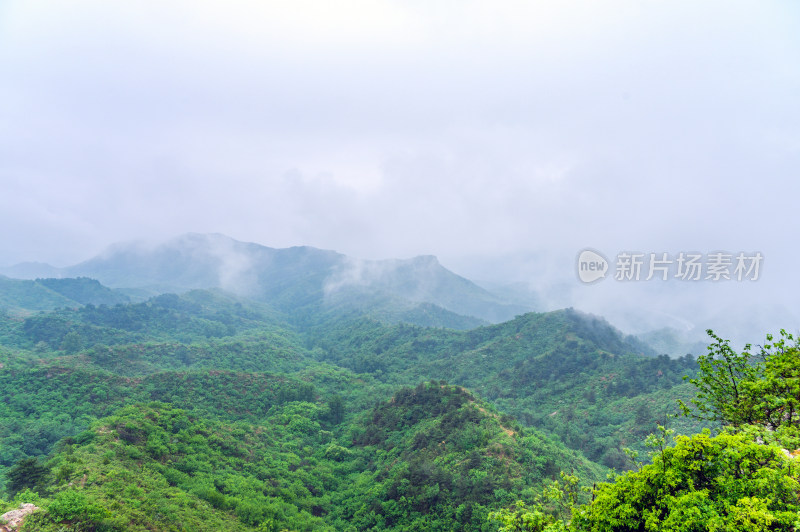 中国夏季金山岭长城阴天下雨云雾风光