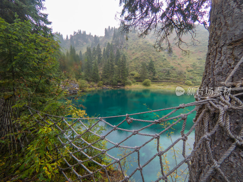 静谧的森林与湖景