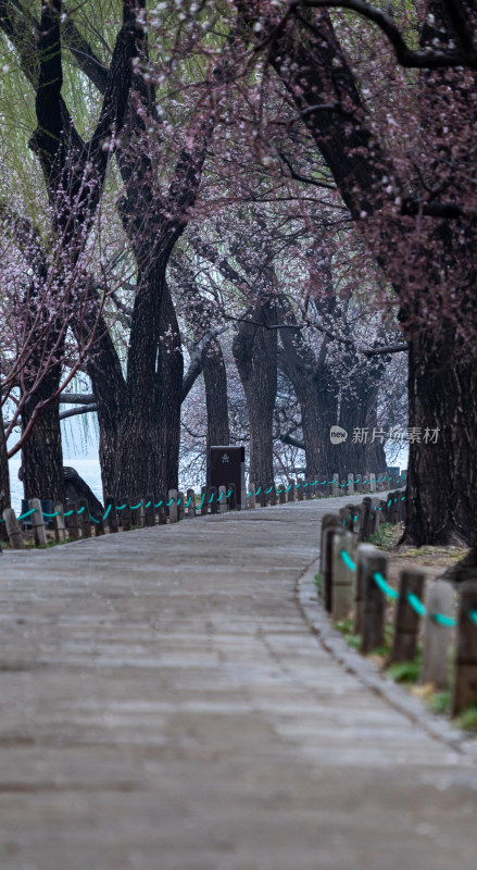 北京颐和园西堤景观