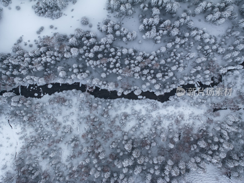 航拍新疆喀纳斯森林雪景