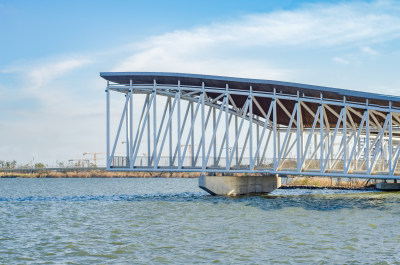 上海滴水湖的白桥上，眺望美丽的风景