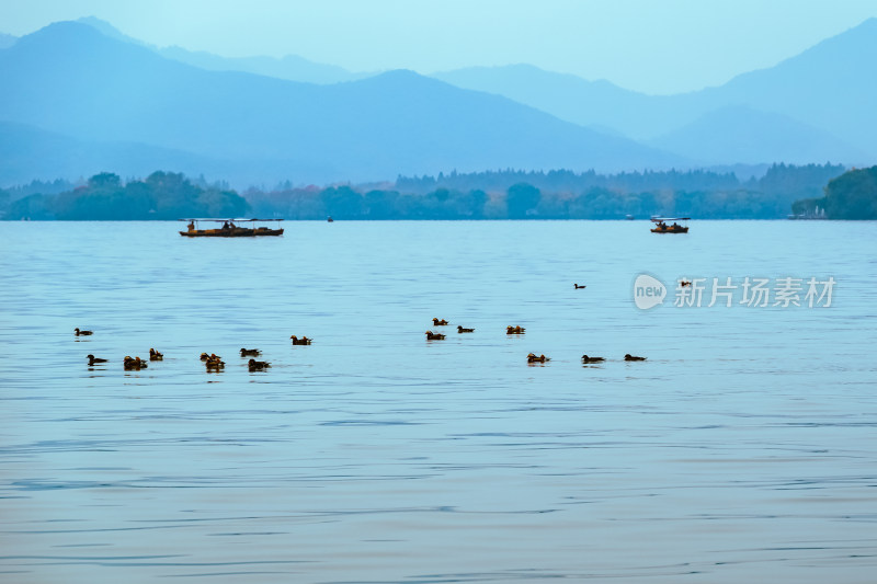 浙江杭州西湖风景名胜区秋景