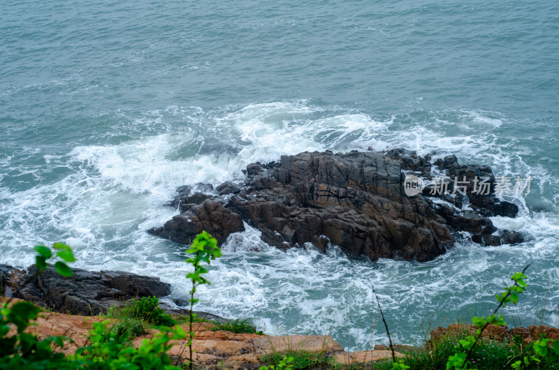 海岸上绿叶环绕，海水中波浪翻滚