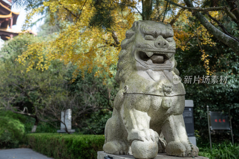 园林中式石狮子雕塑