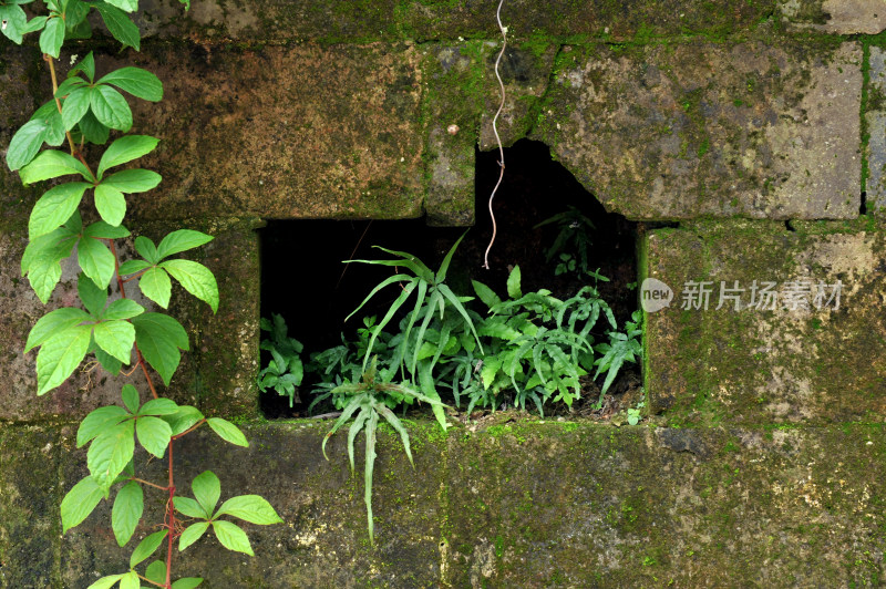 古色古香的传统古建筑屋檐 安徽查济古村