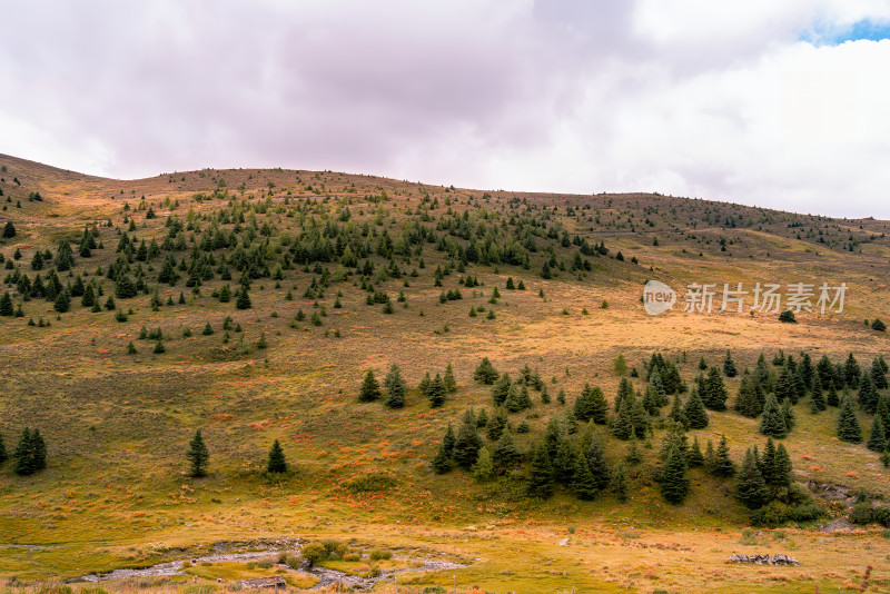 川西草原高山牛马建筑公路美景素材