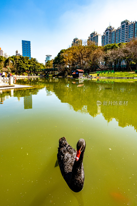 上海徐家汇公园景观