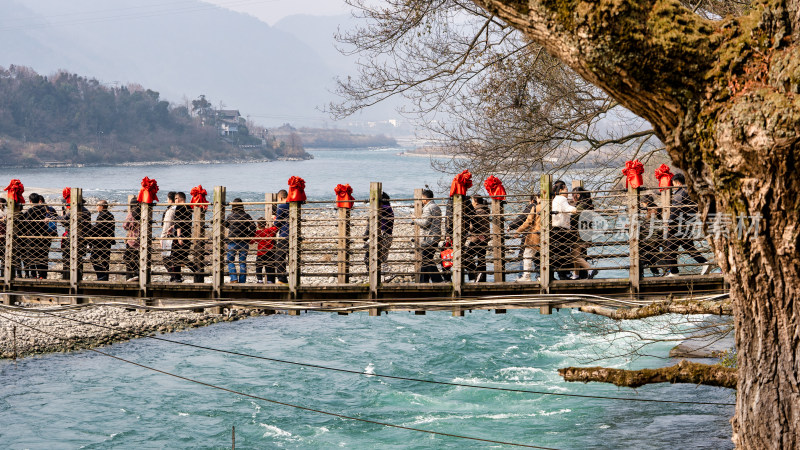 四川都江堰景区里排队过安澜桥的游客