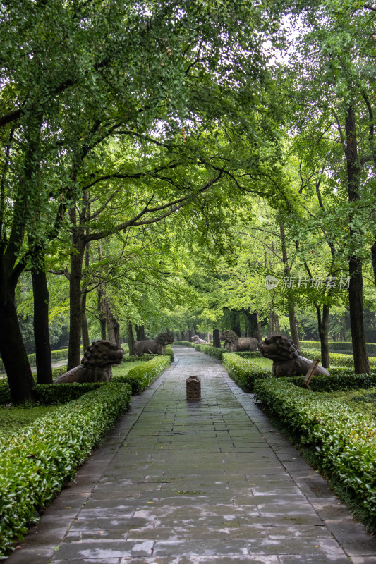 南京钟山风景区明孝陵神道