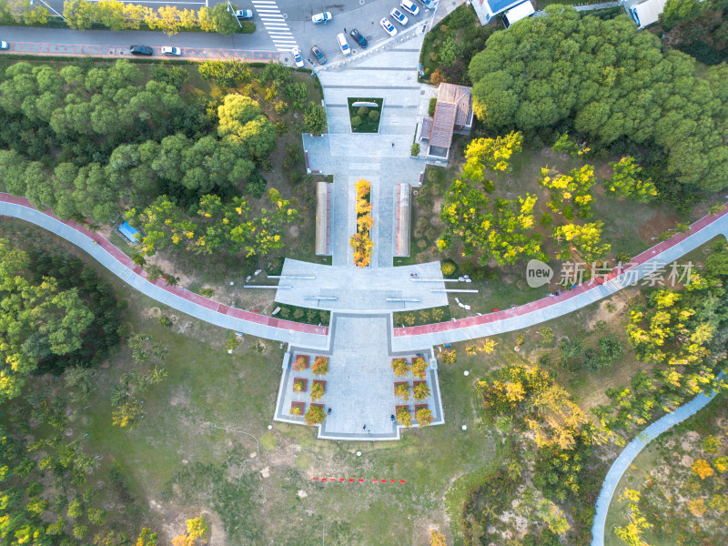 航拍秋日公园道路绿地广场