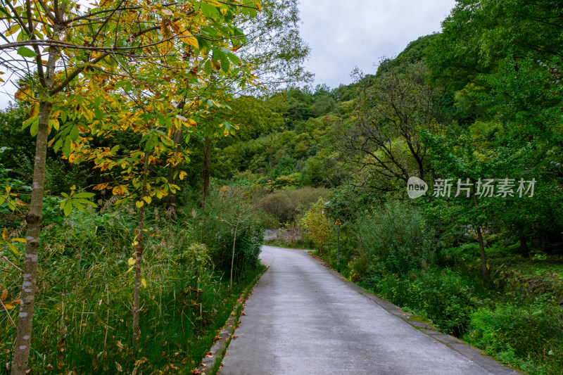 汉中留坝火烧店镇秦岭深处的山中小路