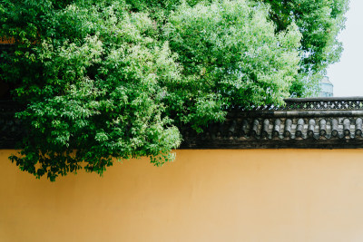 衢州天宁禅寺