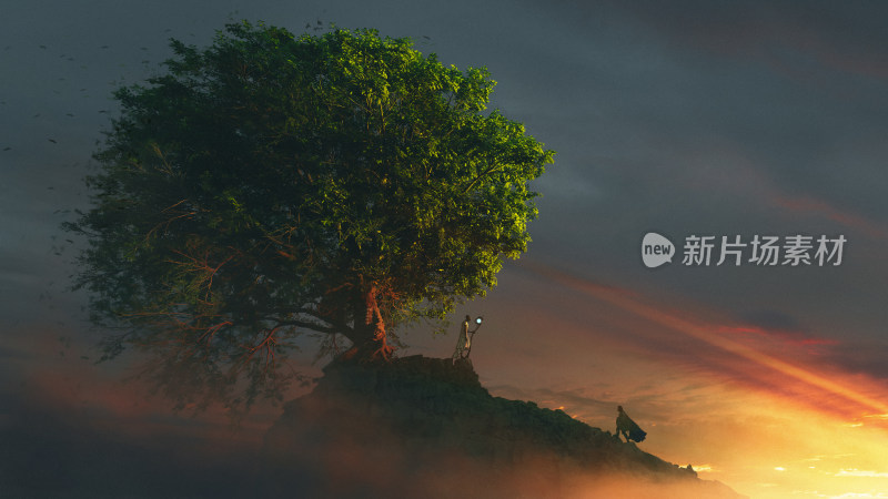 黄昏树下人物与光影场景