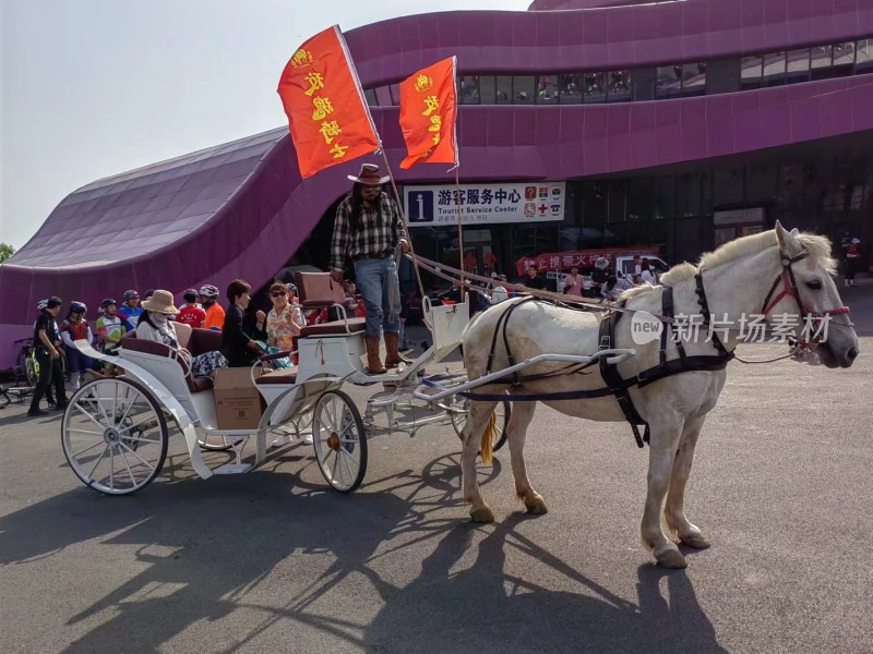 旅游景区马车游览观光景象