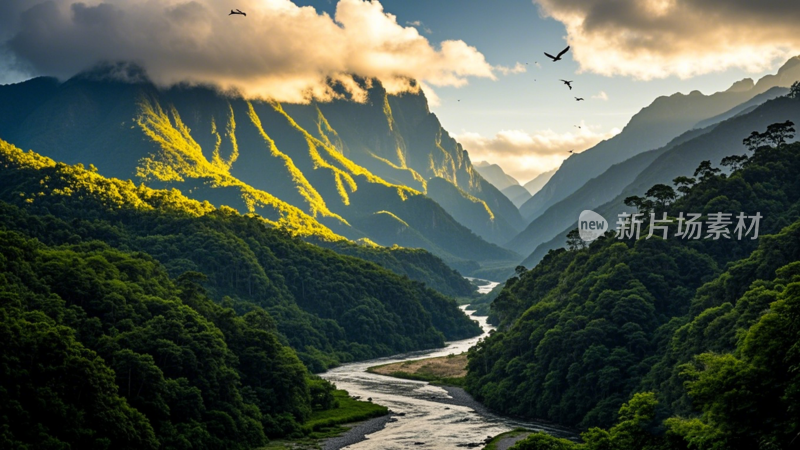 哀牢山森林山间溪流