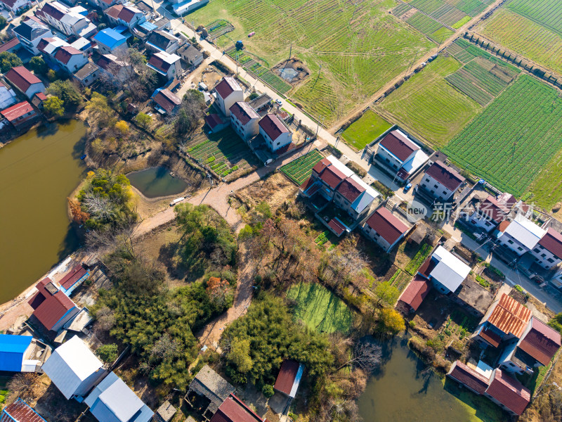 美丽乡村田园