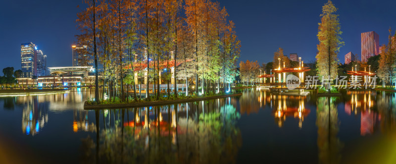 佛山千灯湖落羽杉红叶与城市夜景全景长图