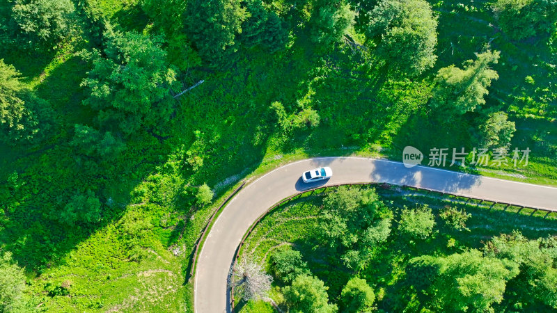 新疆伊犁那拉提森林草原公路航拍