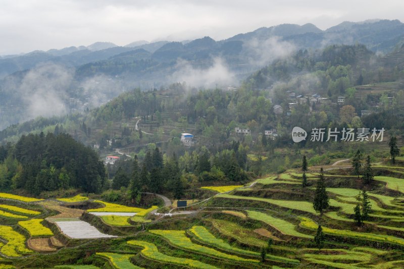 重庆酉阳：青山雾漫别样美