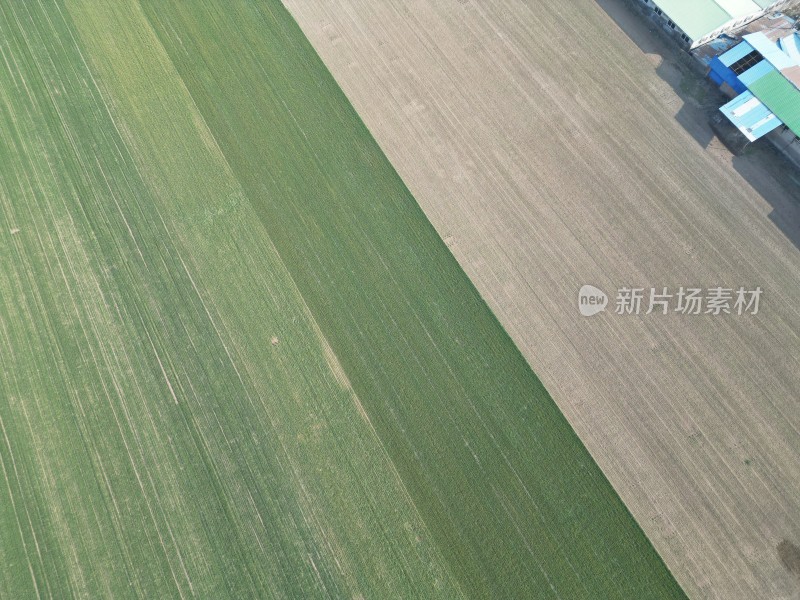 航拍田野景观