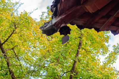 河南省洛阳市白马寺秋天屋檐下的风铃