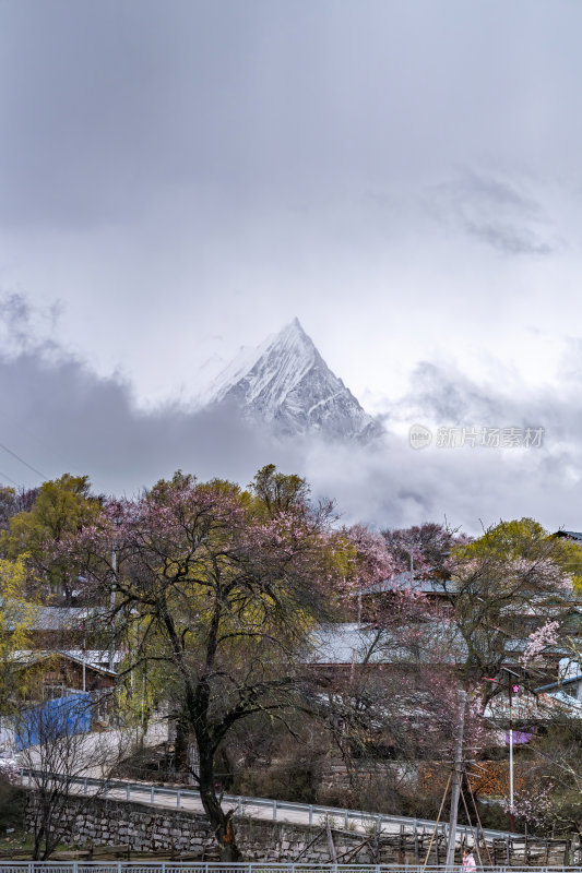 西藏林芝地区藏王故里桃花沟云雾高原村庄