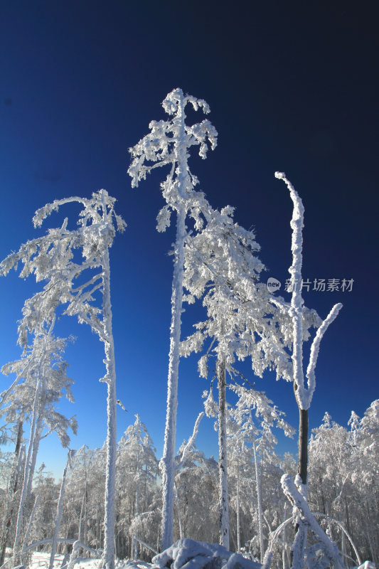 大兴安岭冬季林海雪原冰雪风光