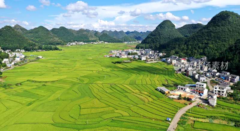 美丽乡村 农业产业乡村振兴