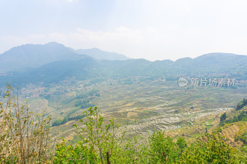 层层叠叠的元阳梯田景观