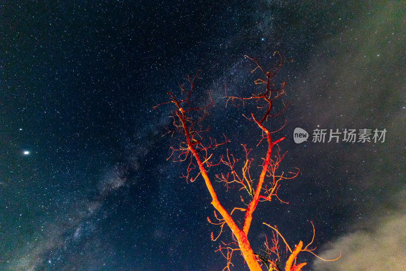 星空银河红色树木