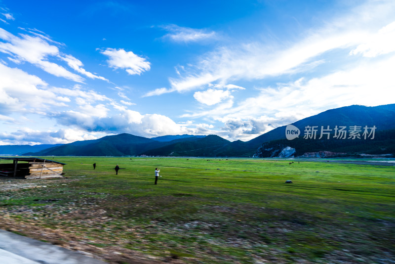 云南香格里拉高山草原